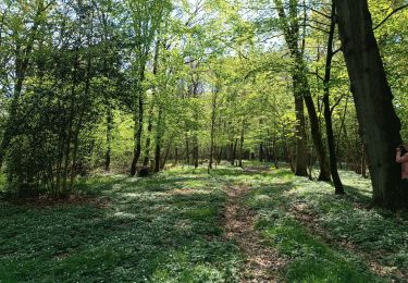 Trail Walking Mettet - Devant les boisBois - Photo