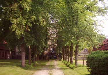 Randonnée A pied Warburg - Rundwanderweg 