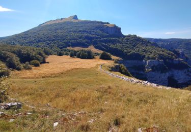 Trail Walking Omblèze - roc de Toulaud /tête de la Dame / mur des Chartreux - Photo