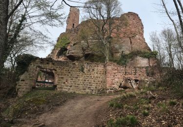 Tocht Stappen Mollkirch - Château guirbarden - Photo