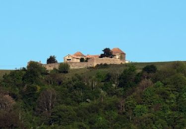 Tour Zu Fuß Salles-Arbuissonnas-en-Beaujolais - Saint Etienne les Oullières - Ferme Sainte Marie - Photo