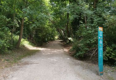 Tour Wandern Saint-Maur-des-Fossés - GR15-02 Saint-Maur-des-Fossés à Gagny - Photo