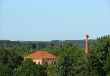 Tocht Te voet Aitrach - Aitracher Höhenweg - Photo