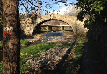 Excursión A pie Castelnuovo Magra - Coll. VF - Olmarello - Sarticola – Monticello – C. Bertella - Photo