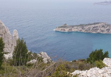 Tocht Stappen Marseille - 13 - le Mont Puget  - Photo