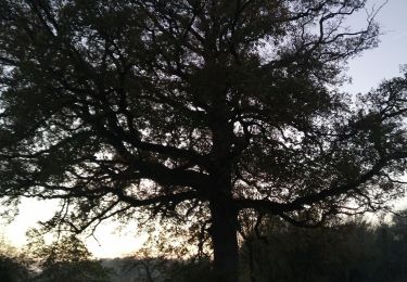 Tocht Stappen Houyet - à Celles - Photo