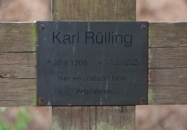 Trail On foot Haltern am See - Lünzumer Mark Rundweg A9 - Photo