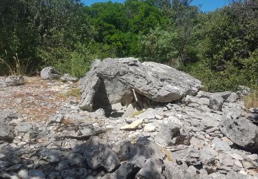 Tocht Stappen Barjac - barjac dolmens avens - Photo