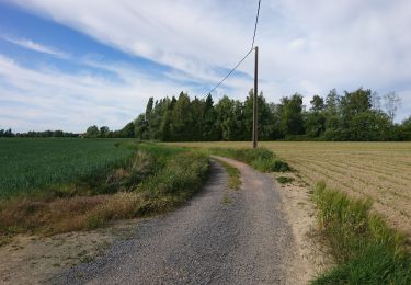 Tocht Mountainbike Lorgies - Lorgies - neuve chapelle - Photo