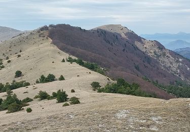 Tour Wandern Saint-Nazaire-le-Désert - Serre Delègue - Photo