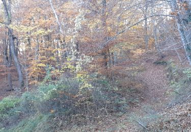 Tocht Stappen Piégros-la-Clastre - puyjovent par le collet - Photo