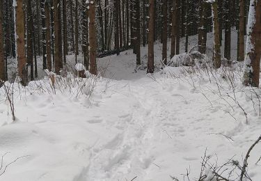 Tour Schneeschuhwandern Charix - Col du sentier- Lac Genin - Photo