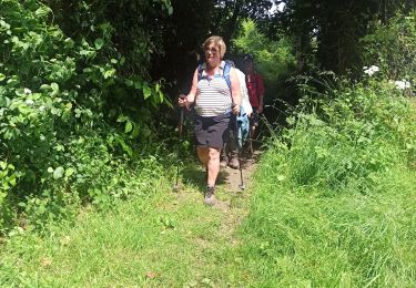 Trail Walking Plouër-sur-Rance - bois rochel WE 2024 - Photo
