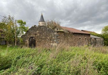 Tocht Stappen Saint-Haon - Saint Haon GR 470 - Photo