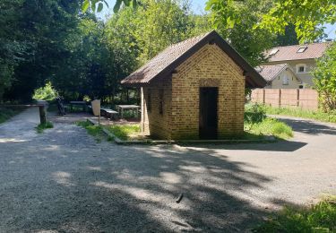 Tour Elektrofahrrad Ronse - Ellezelles 17Km - Photo