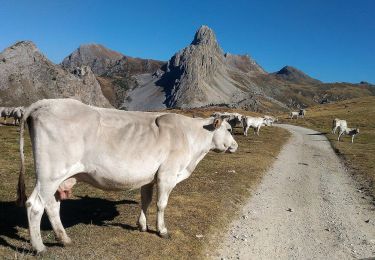 Percorso A piedi Pradleves - IT-R11 - Photo