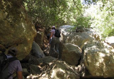 Trail On foot Golan Regional Council - IL-1032 - Photo