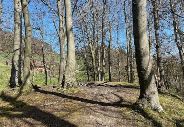 Trail On foot Pfungen - Pfungen - Heerenbänkli Irchelturm - Photo