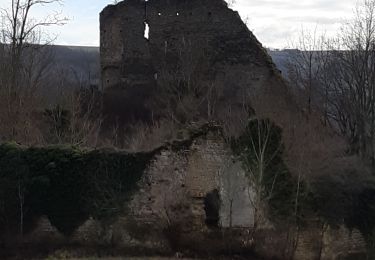 Tocht Stappen Anneyron - Chateau de Mantaille - Photo