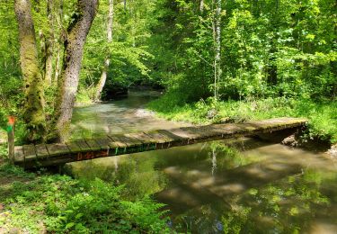 Tour Wandern Houyet - Houyet 190523 - Photo