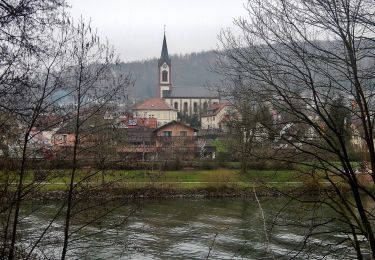 Trail On foot Neckargerach - Rundwanderweg Guttenbach 1: Minneburg-Weg - Photo