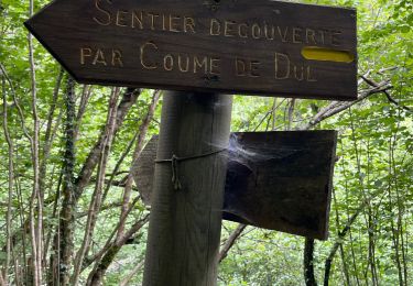Randonnée Marche Bonac-Irazein - Sentier du port d’Orle - col du Tuc - Photo