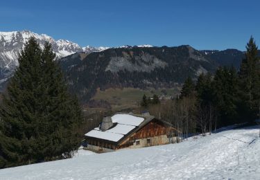 Tour Wandern Crest-Voland - tour du mont lachat - Photo