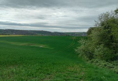 Tour Wandern Floreffe - soye - Photo