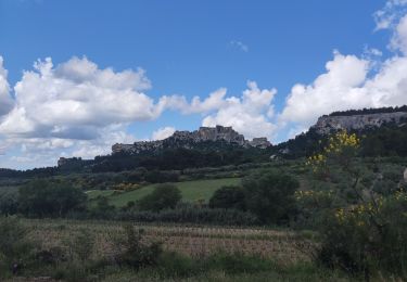 Trail Walking Les Baux-de-Provence - chemin des Lombards - Photo