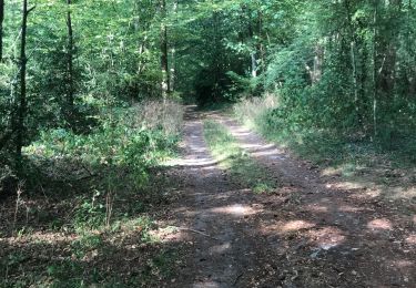 Tocht Stappen Anhée - Rando 10.08.2020 - Photo