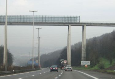 Tocht Te voet Blegny - de Légipont - Photo