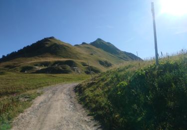 Trail Walking Les Avanchers-Valmorel - Valmorel Tour des deux Nielard - Photo