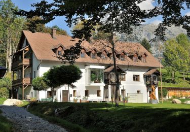 Randonnée A pied Liezen - Weißenbacher Rundwanderweg - Photo