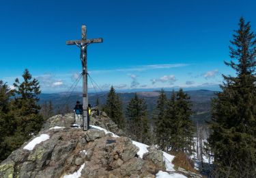 Percorso A piedi Spiegelau - Bärlapp - Photo