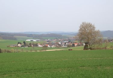 Percorso A piedi Gladenbach - [G11] - Rundweg Gladenbach - Ammenhausen - Friebertshausen - Wolfskapelle - Altes Forsthaus Rüchenbach - Ammenhausen - Gladenbach - Photo