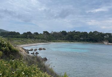 Excursión sport Bormes-les-Mimosas - PAS DE LA GRIOTTE CABASSON  - Photo