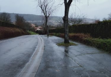 Tocht Wegfiets Saulny - fèves - Photo