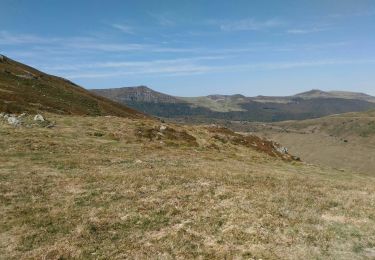 Excursión Senderismo Lavigerie - Tour du Peyre Arse par le Puy Bataillouse et le Téton de Vénus - Photo