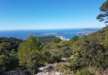 Tocht Stappen Toulon - Mont Faron - Photo