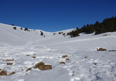 Tour Skiwanderen Manteyer - Tour de Ceuse - Photo