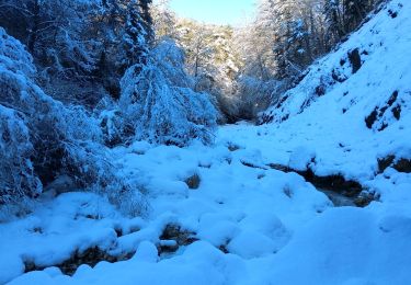 Tocht Sneeuwschoenen Andon - Descente vers le Loup en raquettes - Photo