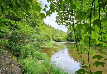 Tocht Stappen Florenville - Le Point de vue la Bohanan - Chassepierre - Photo