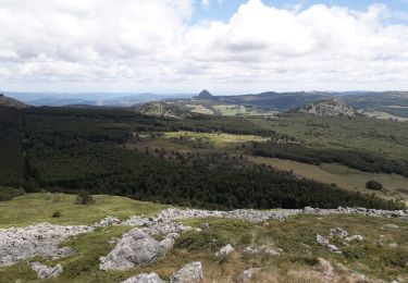 Trail Walking Le Béage - suc des Chartreux partie 1 - Photo