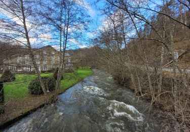 Tocht Stappen Wellin - rando daverdisse 5-01-2024 - Photo