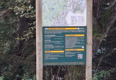 Excursión Senderismo Laval-en-Belledonne - PETITE RANDONNEE AU DEPART DU PONT DE LA BETTA  - Photo