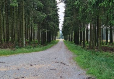 Tour Wandern Weismes - hautes fagnes  - Photo