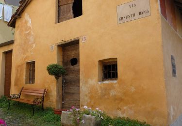 Tour Zu Fuß Sassello - Strada Foresta della Deiva - Photo