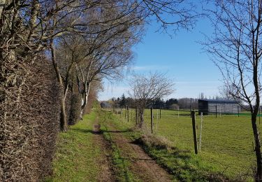 Trail Walking Liège - Rocourt > Fooz > Awans > Rocourt  - Photo