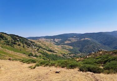 Excursión Senderismo Dourbies - Dourbies à Camprieu en boucle  - Photo