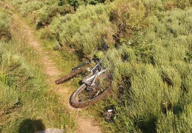 Trail Mountain bike Les Estables - L'Estable Bachasson - Photo